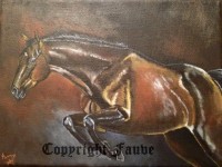 /album/galerie-photos/a-2-jpg1/